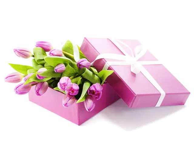 special-offers image